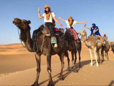 Ride a Camel Across the Sahara Desert