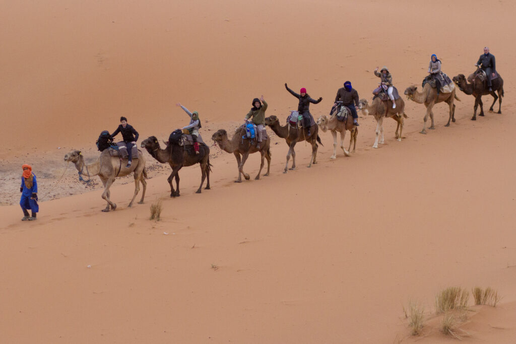 Experience the thrill of sandboarding down the dunes of the Sahara Desert
