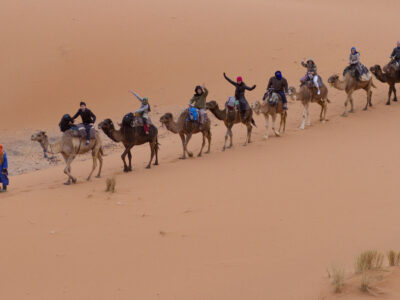 Experience the thrill of sandboarding down the dunes of the Sahara Desert